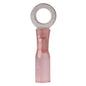 Ancor 2218 Gauge  8 Heat Shrink Ring Terminal  100Pack 310299