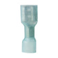 Ancor 1614 Female Heatshrink Disconnects  25Pack 317825