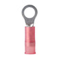 Ancor 2218 AWG  10 Nylon Ring Terminal  100Pack 220203